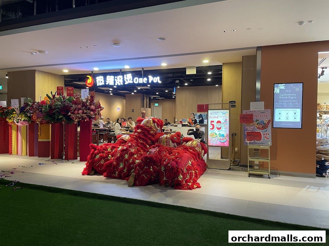 热辣滚烫 One Pot