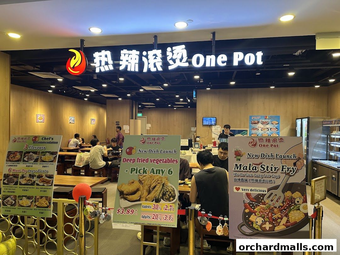 热辣滚烫 One Pot