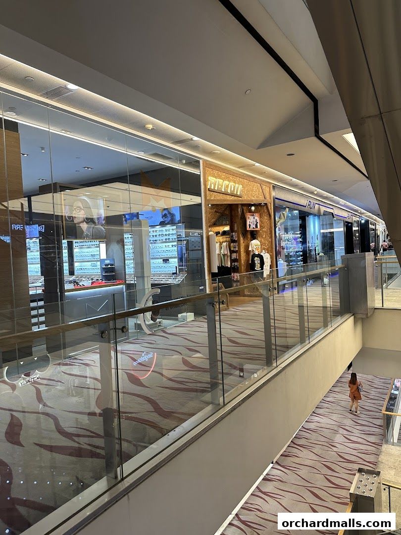 Recoil - 313Somerset