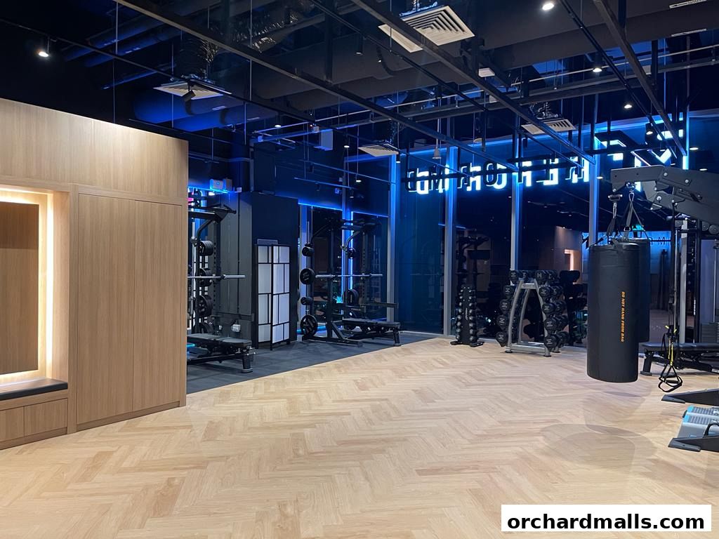 ReFormd Personal Training Orchard