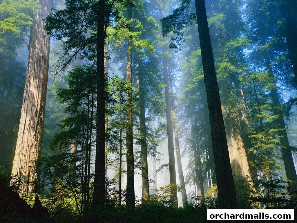 RILICO GLOBAL HOLDINGS PTE. LTD.