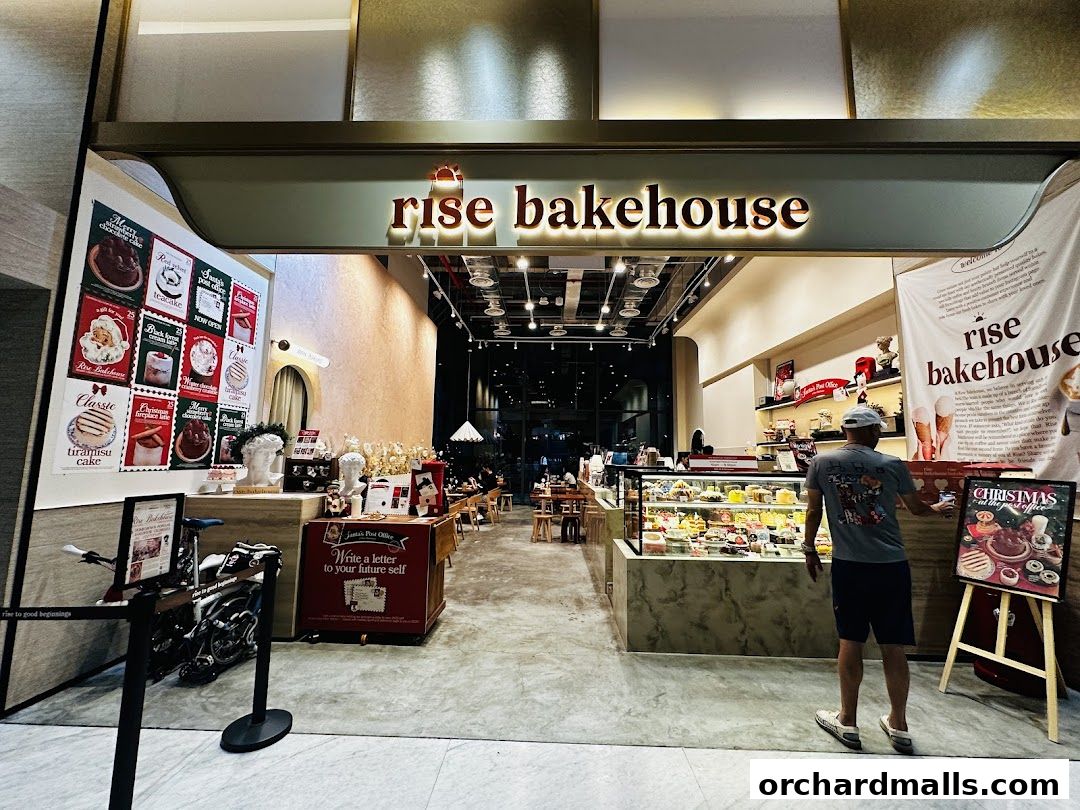 Rise Bakehouse  TripleOne Somerset