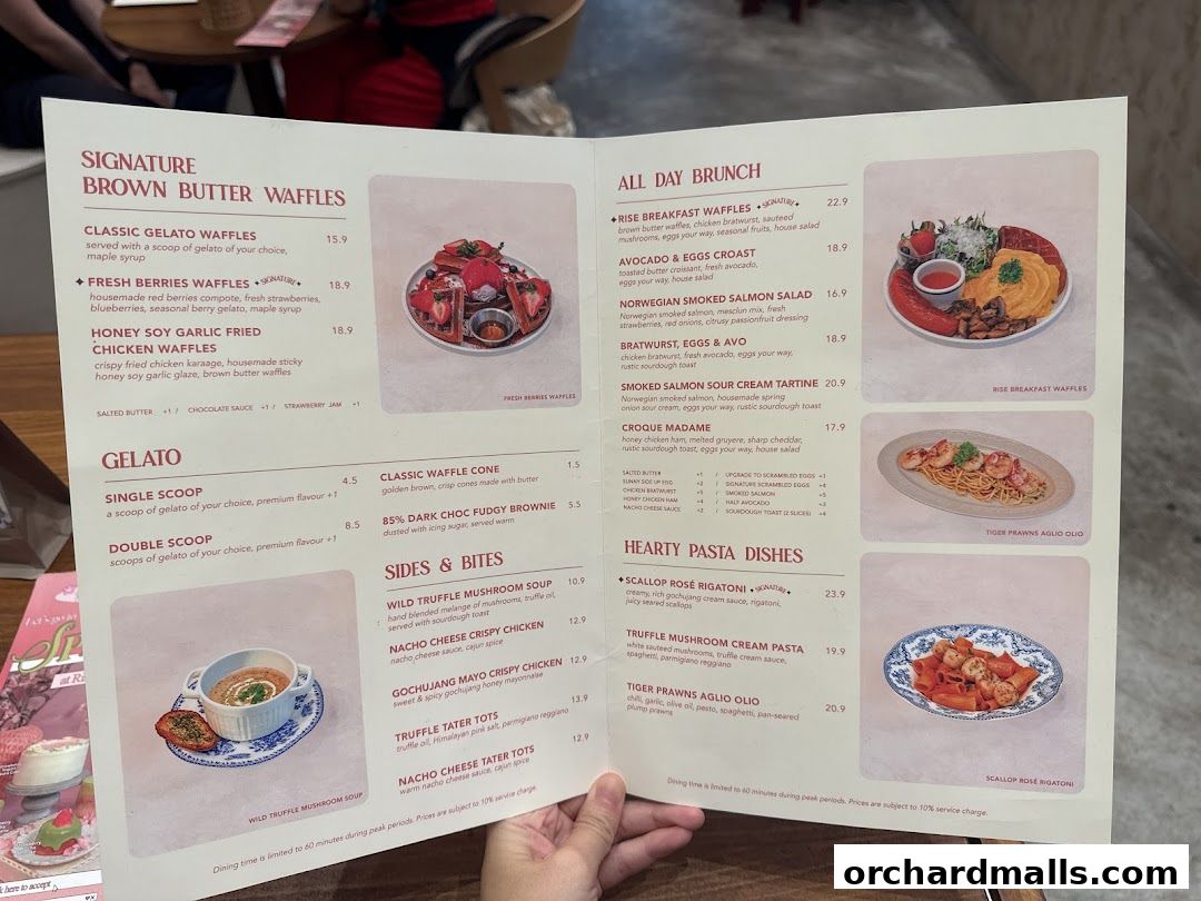 Rise Bakehouse  TripleOne Somerset