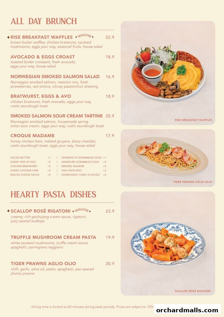 Rise Bakehouse  TripleOne Somerset