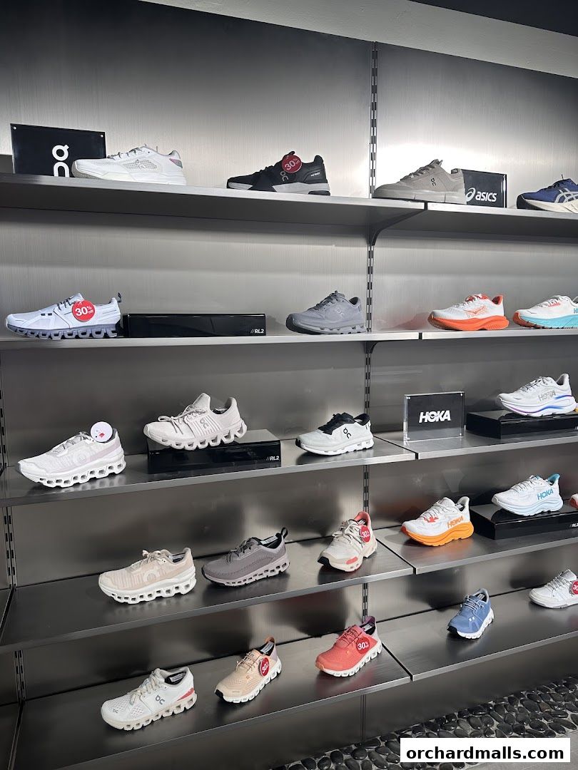 Shelves display a variety of athletic shoes from brands like Hoka and Asics.