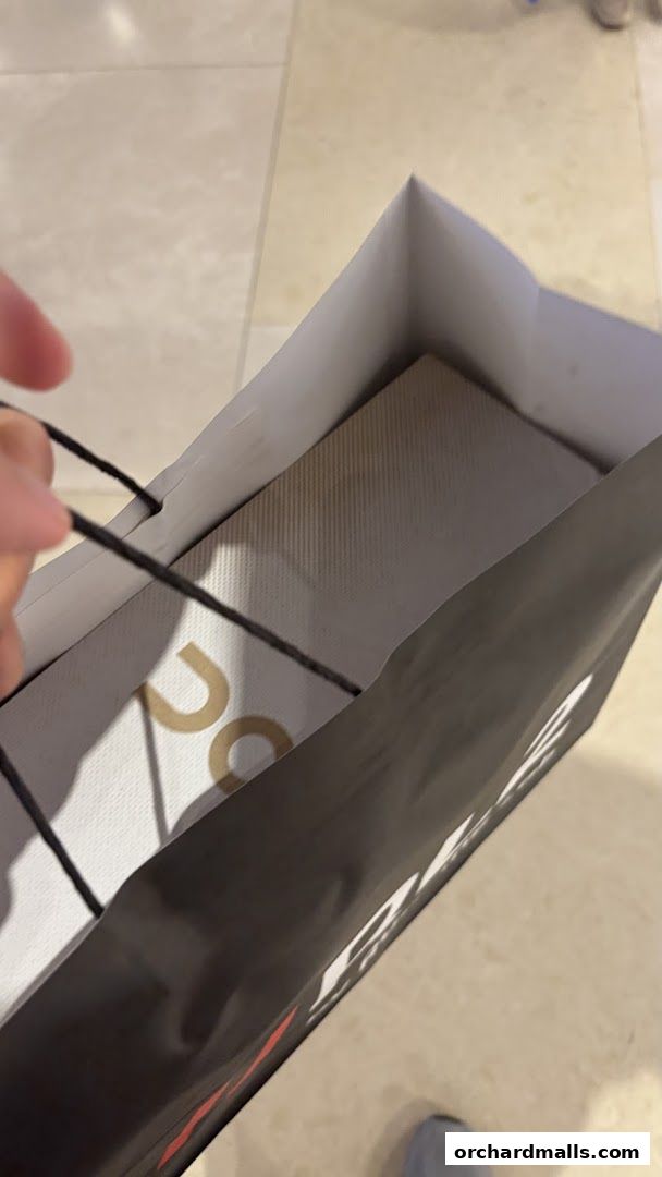A hand holds the handles of a shopping bag with a box inside.