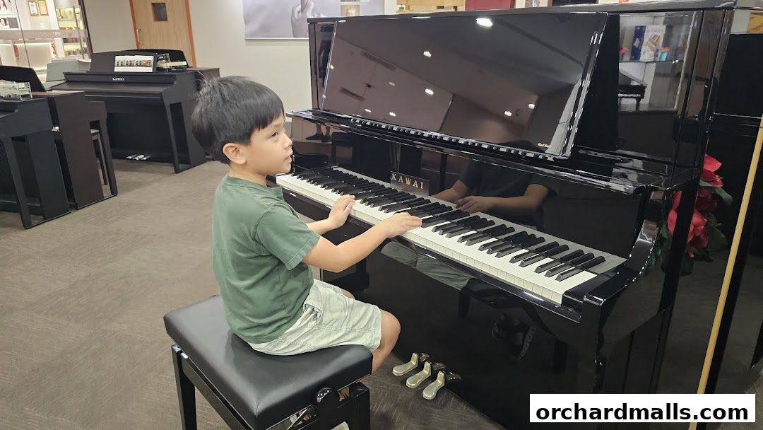 Robert Piano Co. Pte Ltd - Centrepoint