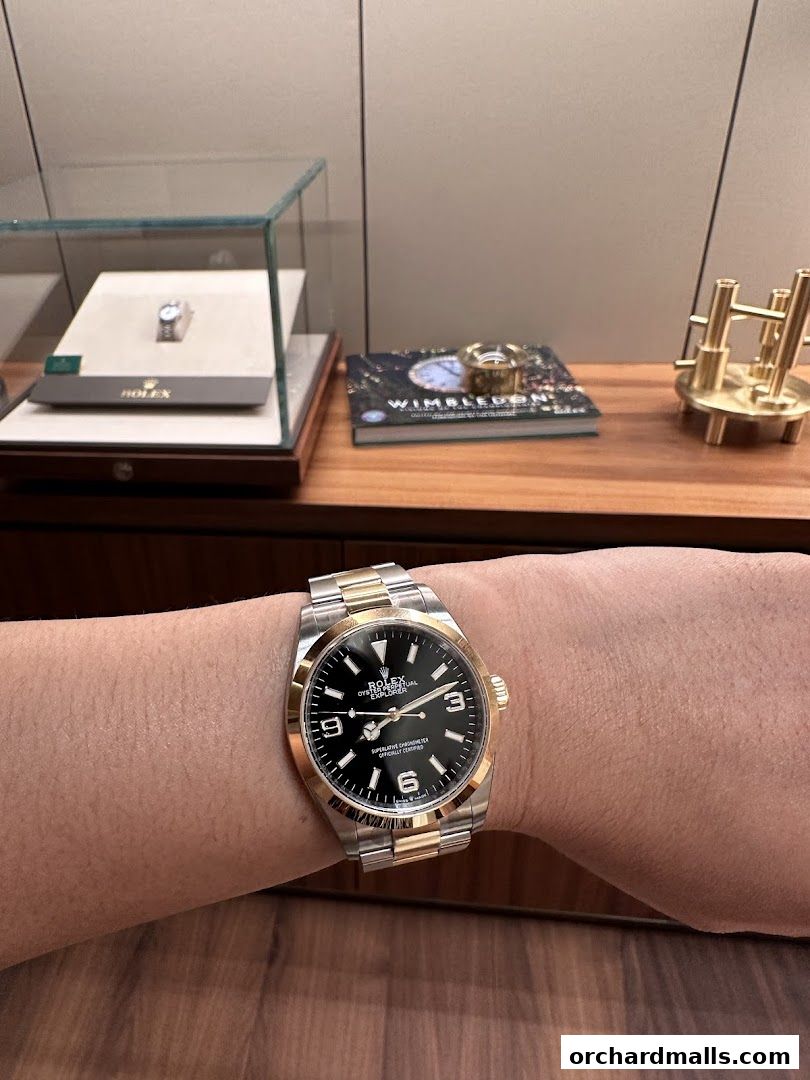A person wearing a Rolex Explorer watch with a two-tone bracelet.