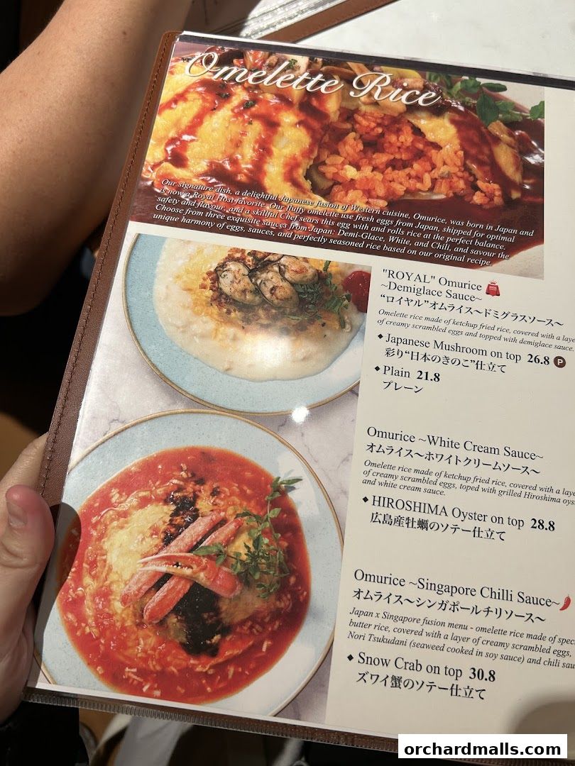 A menu page showcasing various Omelette Rice dishes with enticing descriptions and prices.
