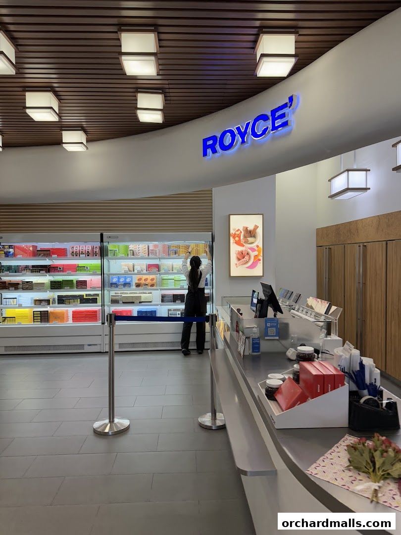 Interior view of a Royce shop with a display of chocolates and a counter.