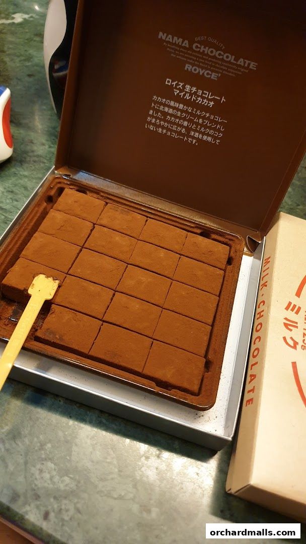 A box of Royce Nama Chocolate, Mild Cacao flavor, dusted with cocoa powder.