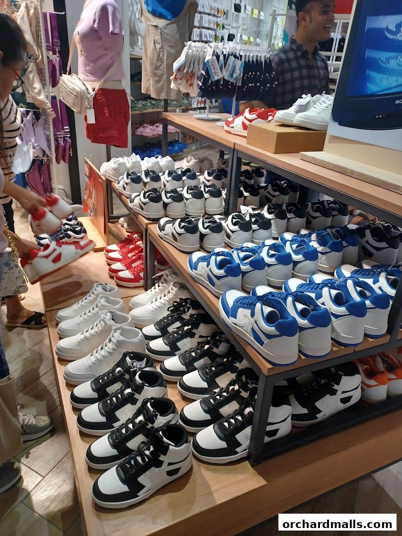 A display of various stylish sneakers, including white, black and white, and blue and white designs.