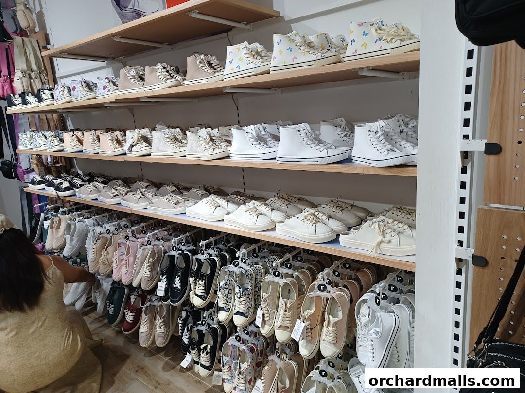 Shelves filled with various styles of women's sneakers and canvas shoes at Rubi Shoes.