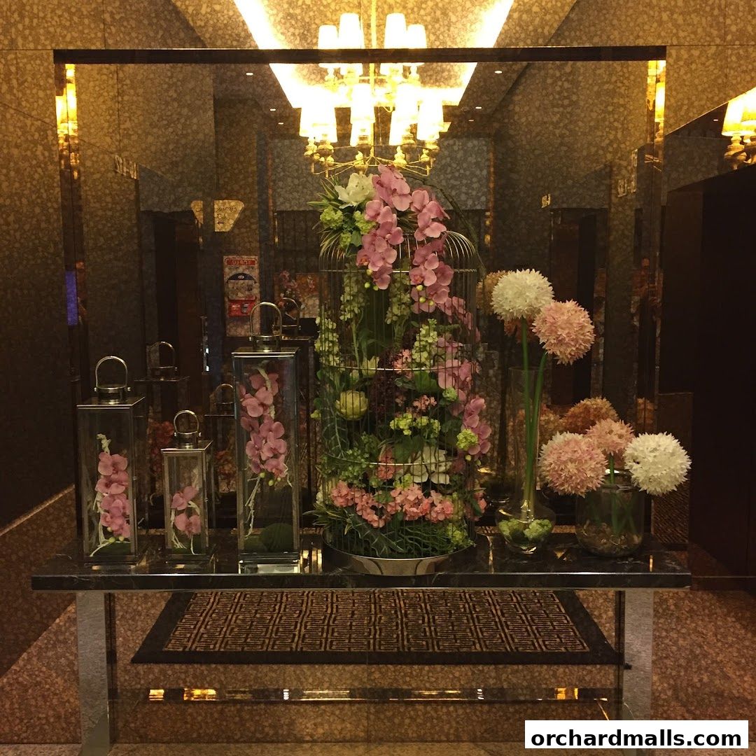 S Aesthetics Clinic Orchard