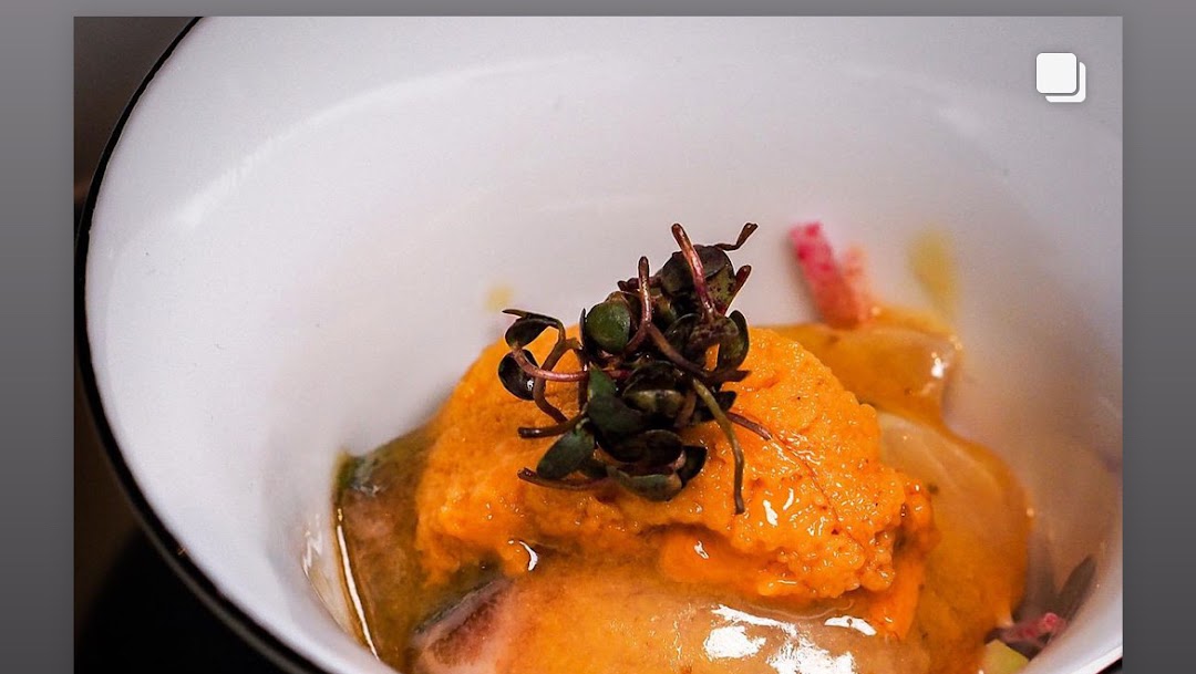 Sage by Yasunori Doi