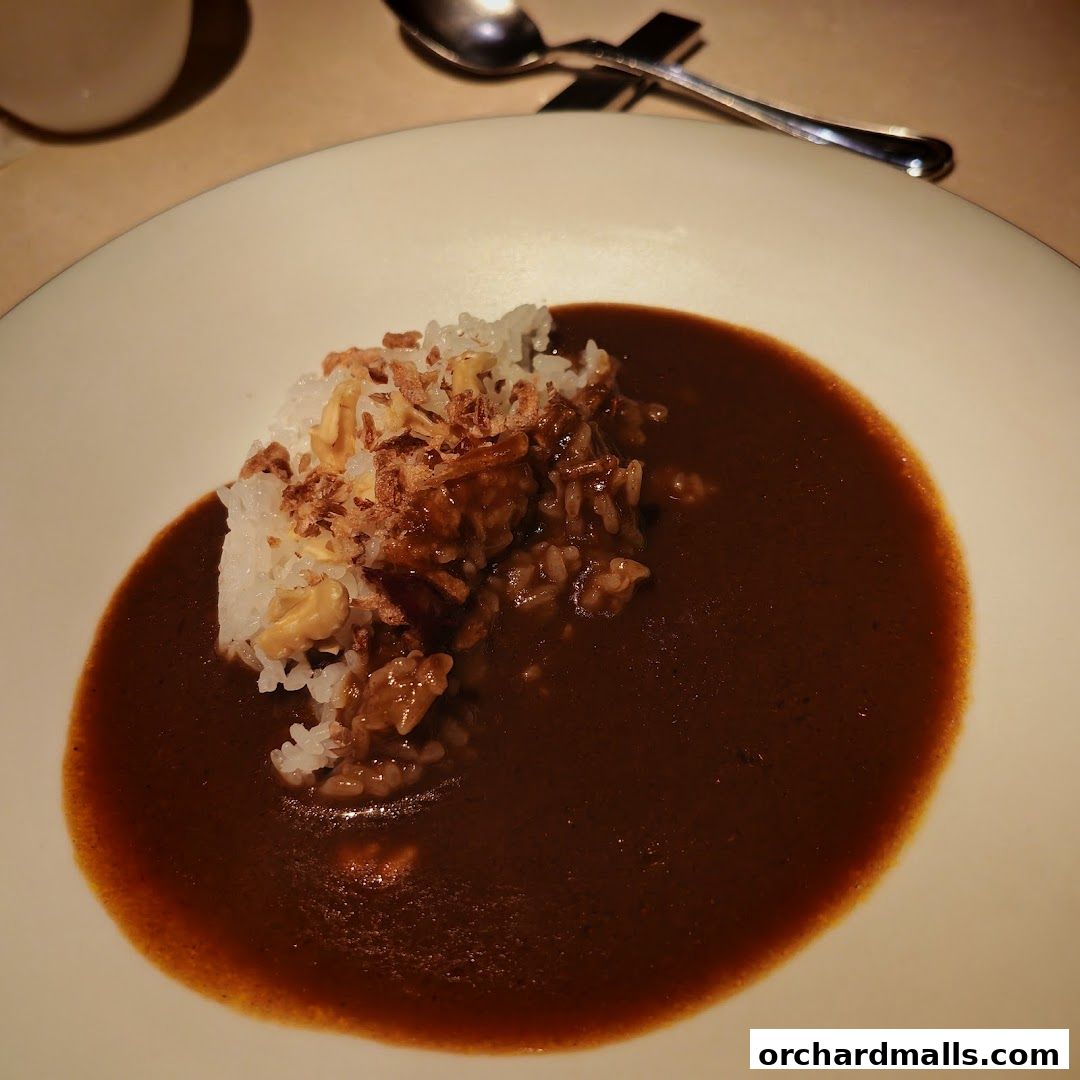 A close-up of a delicious curry dish with rice and crispy toppings.