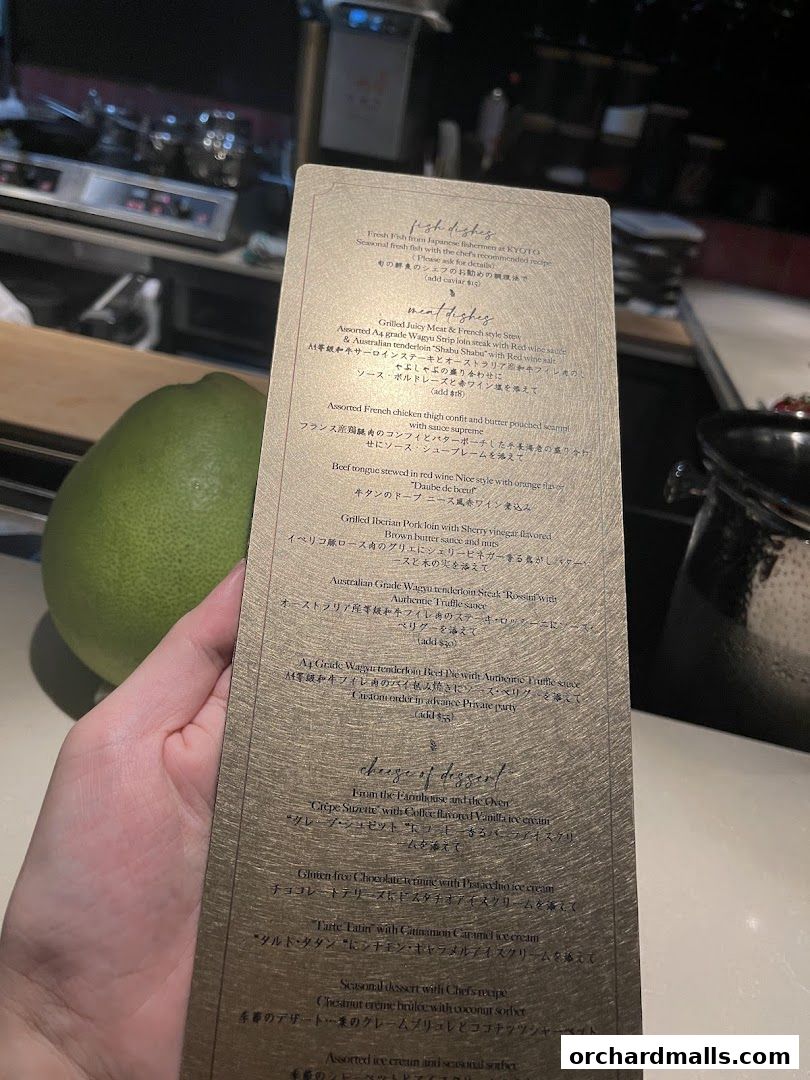 A person holds a gold-colored menu with various dishes listed in English and Japanese.