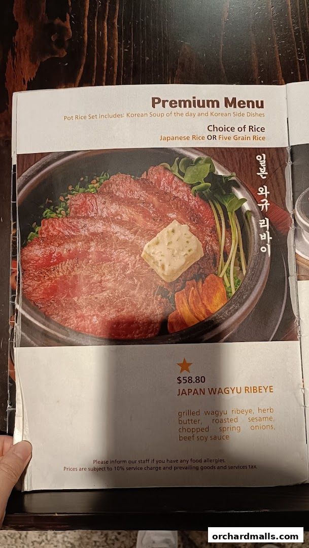 A menu page featuring a premium dish of Japan Wagyu Ribeye with rice.