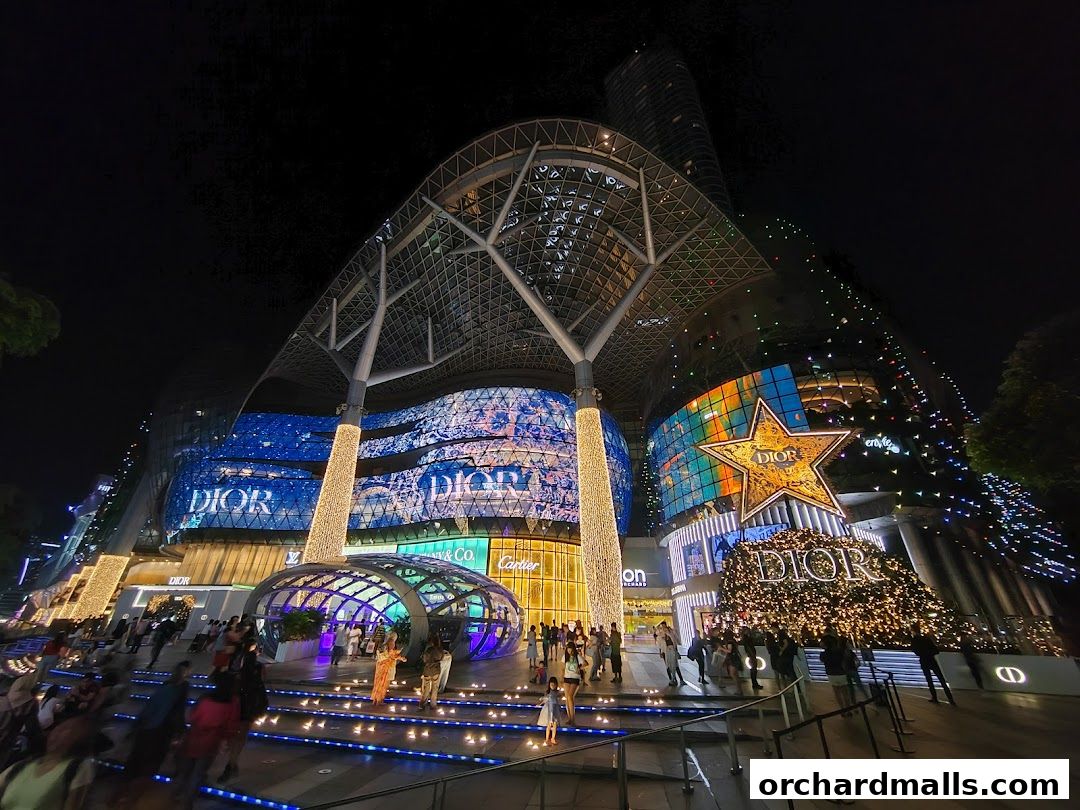 A brightly lit shopping mall exterior at night, featuring prominent brand displays and a festive Christmas tree.