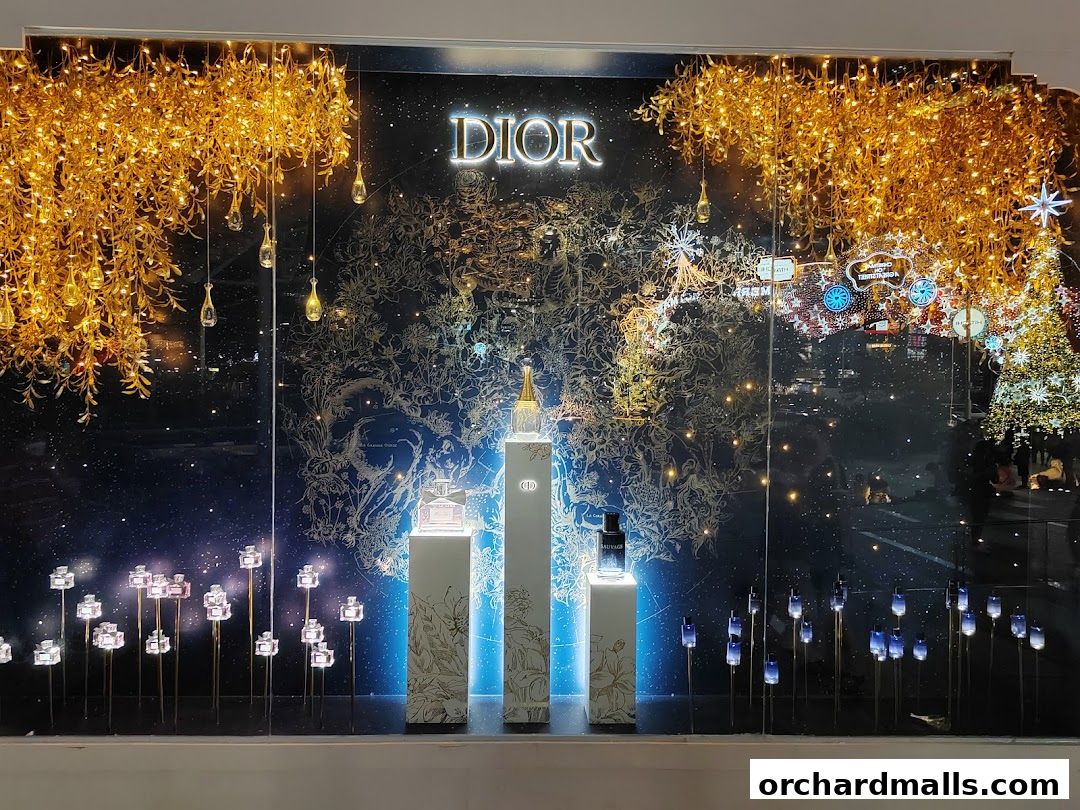 Dior storefront window display featuring perfumes and festive holiday decorations.