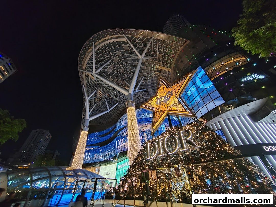 A beautifully lit Dior store facade at night, adorned with festive Christmas decorations.