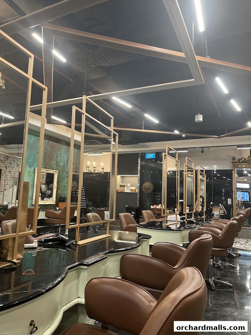 Salon Vim  Leading Hair Salon in Singapore