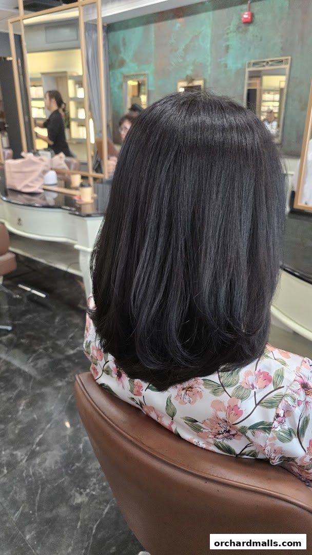 Salon Vim  Leading Hair Salon in Singapore