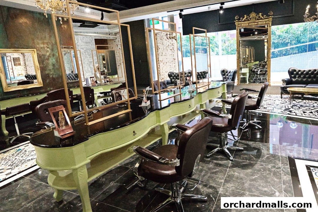 Salon Vim  Leading Hair Salon in Singapore