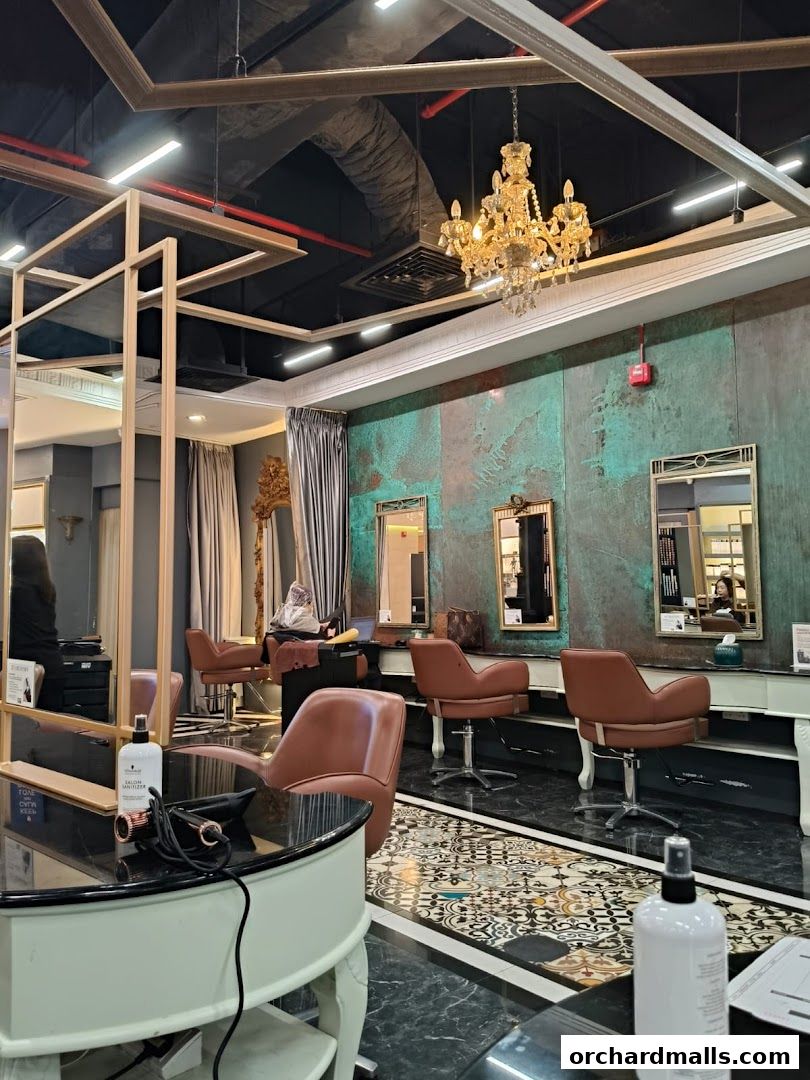 Salon Vim  Leading Hair Salon in Singapore