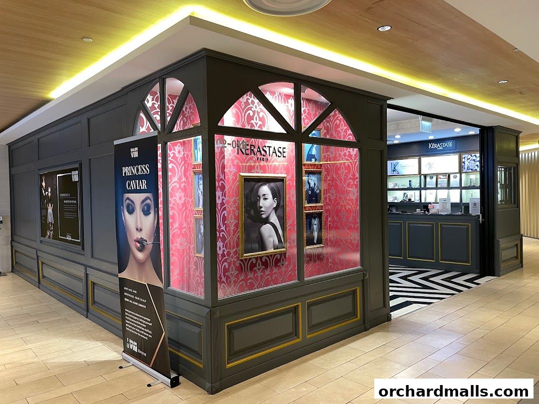 Salon Vim  Leading Hair Salon in Singapore