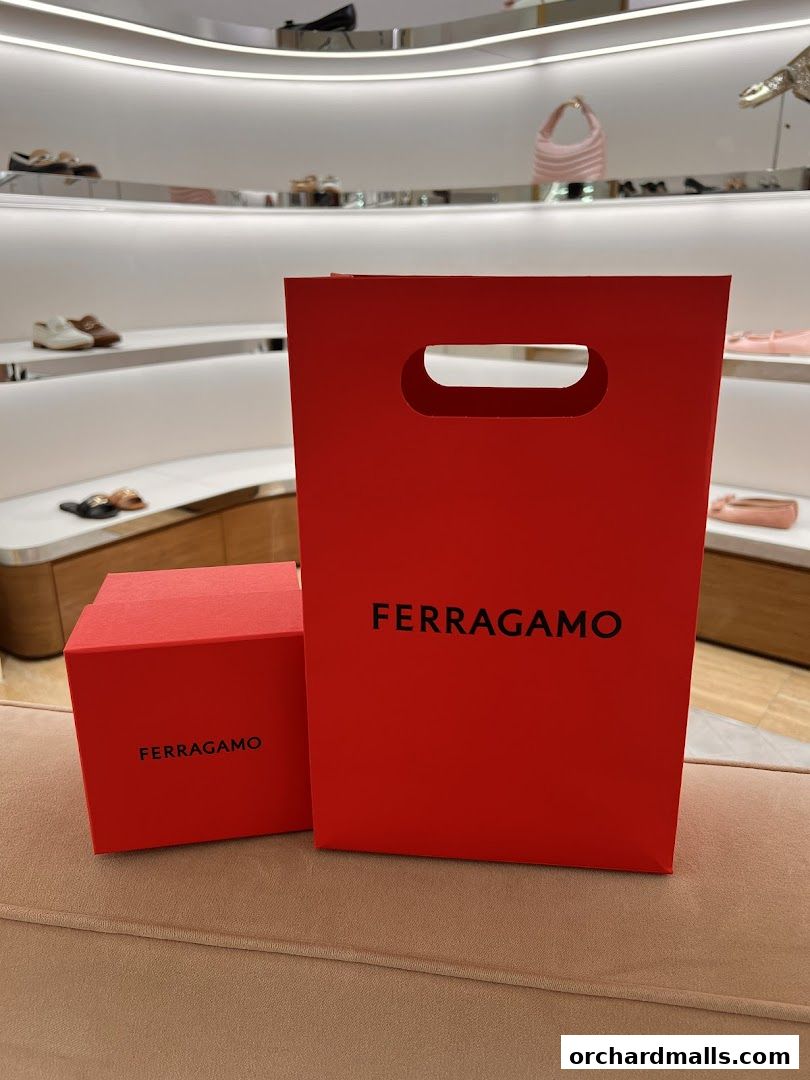 Red Salvatore Ferragamo shopping bag and box with shoes displayed in the background.