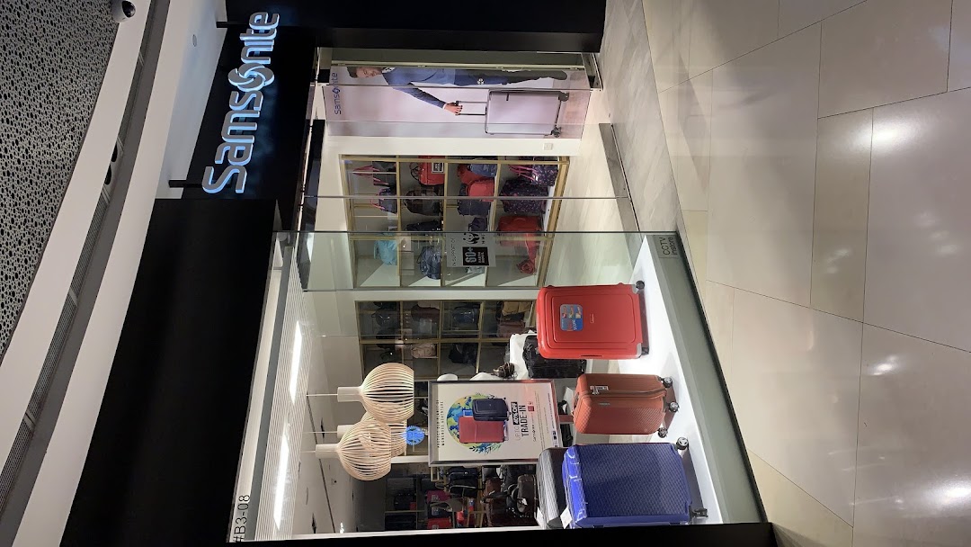 Samsonite - ION Orchard