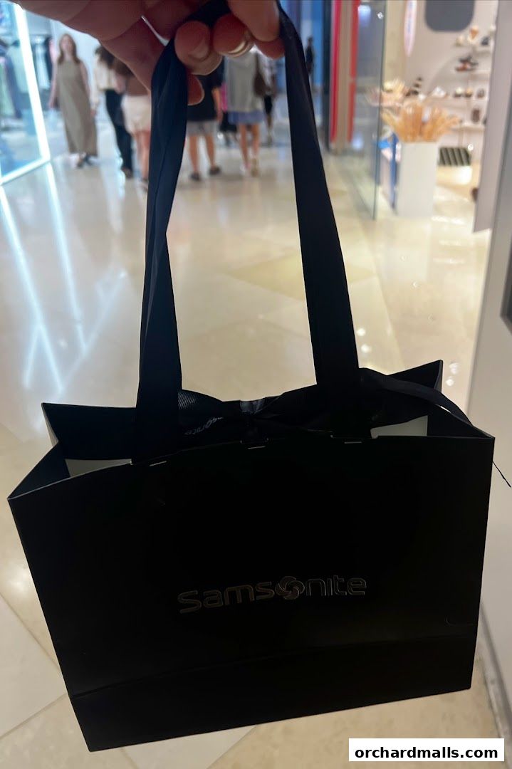 A hand holds a black Samsonite shopping bag with a ribbon tied around the handles.