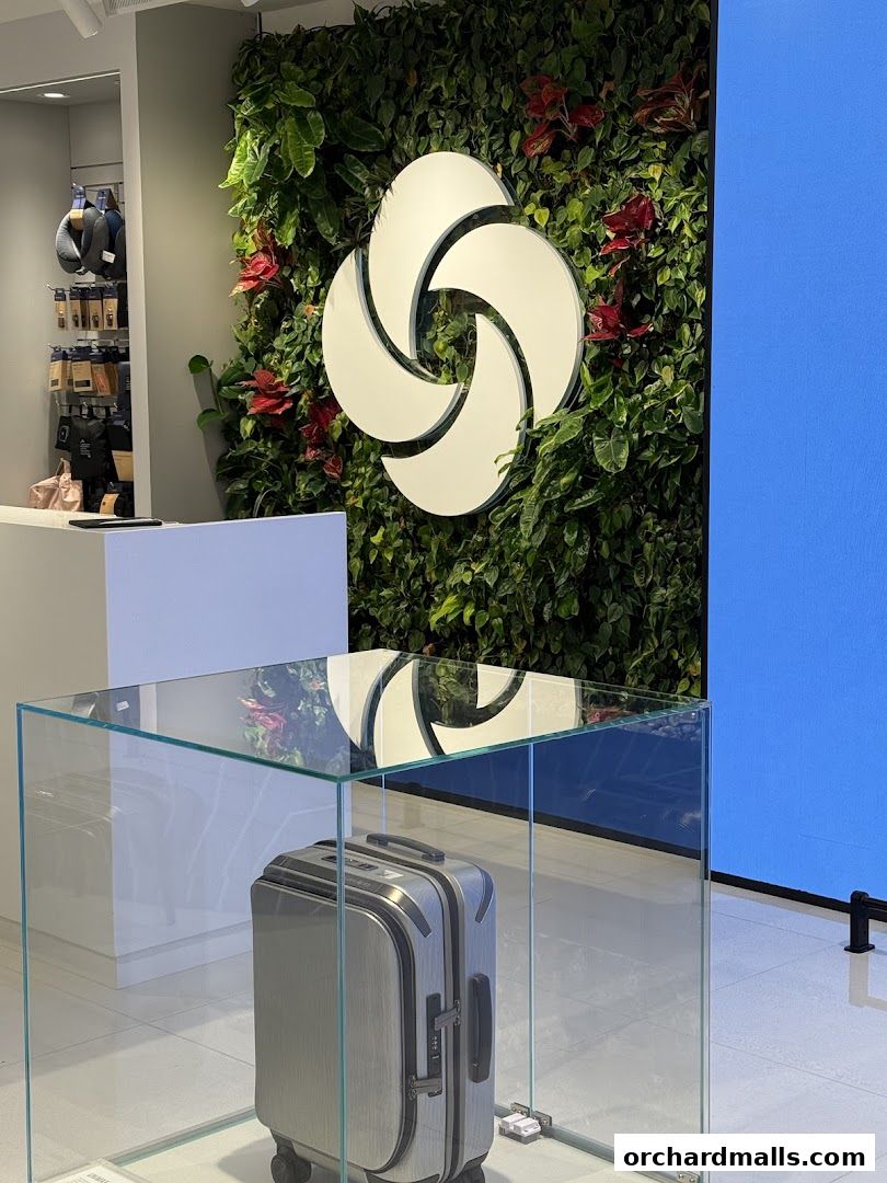 A Samsonite store interior featuring a display suitcase and a green wall with the brand logo.