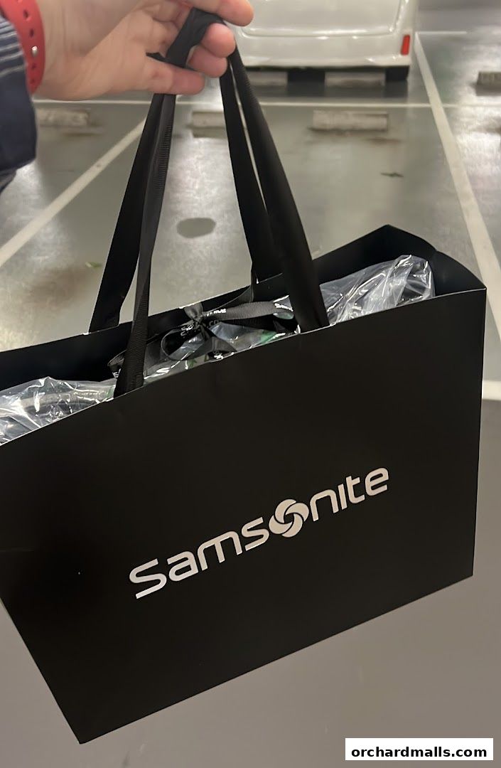 A hand holds a black Samsonite shopping bag filled with products.