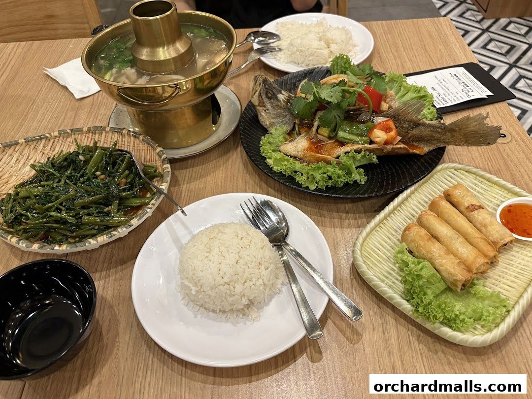 A table laden with delicious Thai dishes including a whole fish, spring rolls, stir-fried vegetables, and rice.
