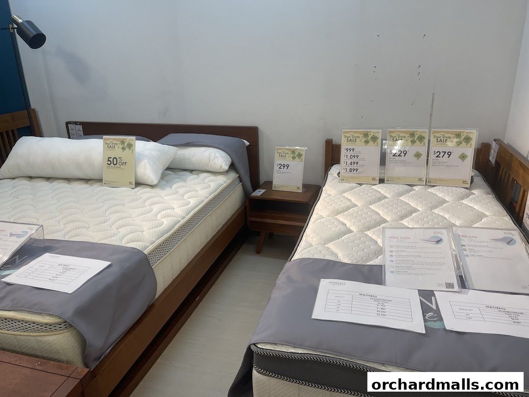 Scanteak  ISETAN SCOTTS