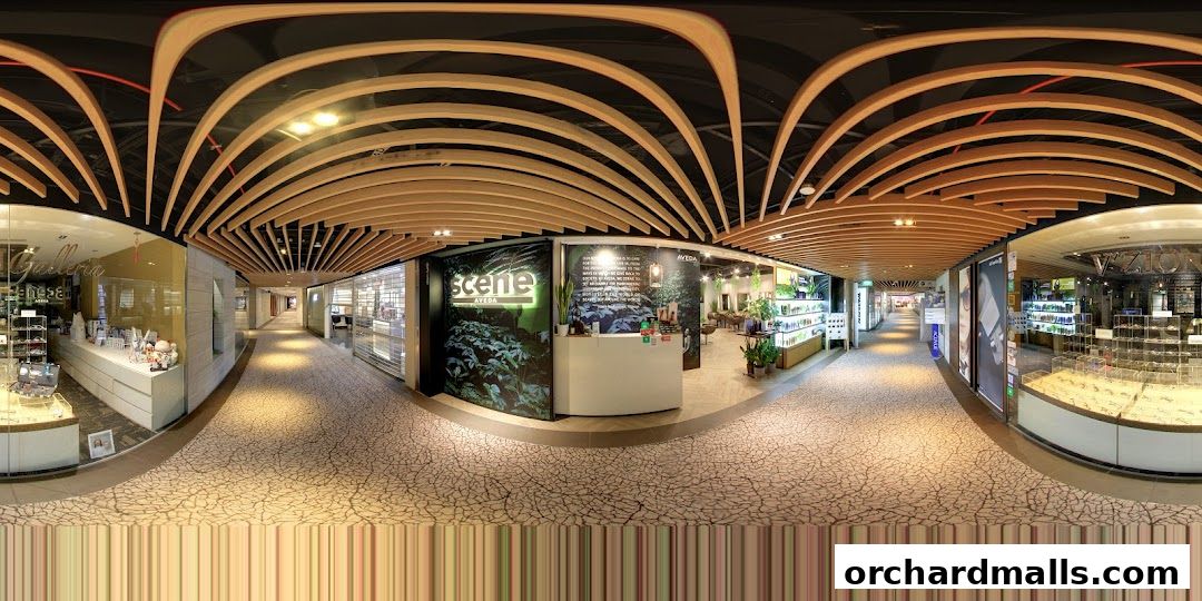 Scene Mandarin Gallery