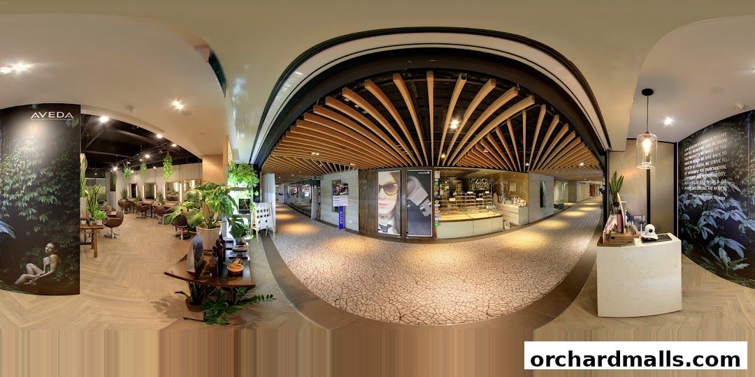 Scene Mandarin Gallery