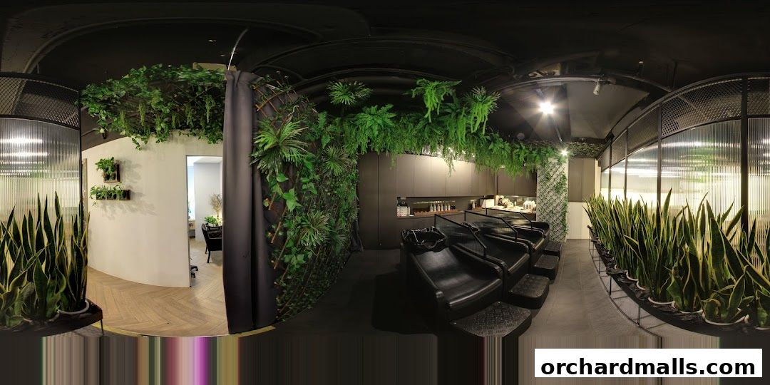 Scene Mandarin Gallery