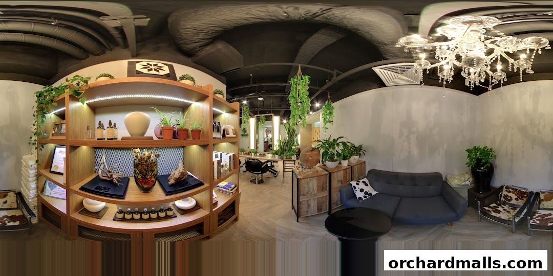 Scene Mandarin Gallery