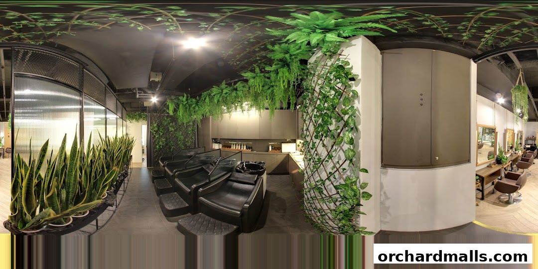 Scene Mandarin Gallery