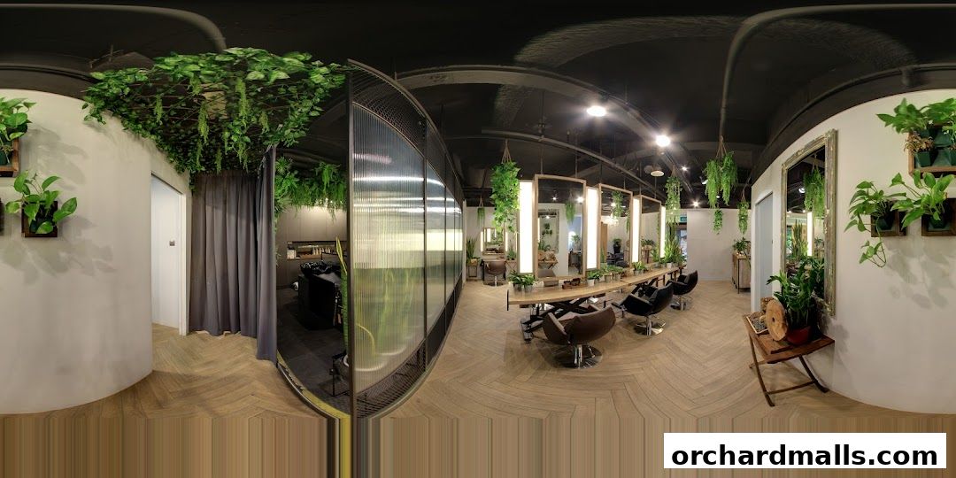 Scene Mandarin Gallery