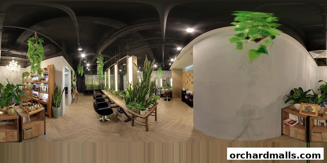 Scene Mandarin Gallery