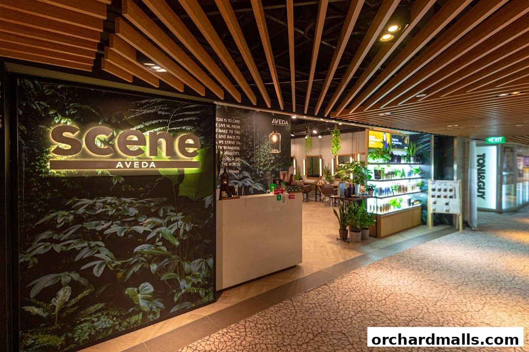 Scene Mandarin Gallery