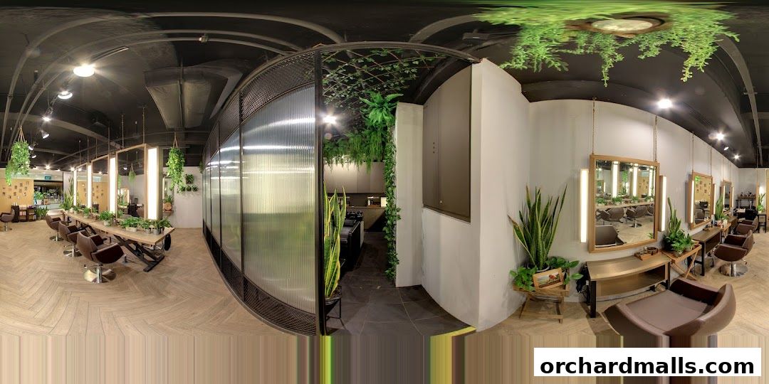 Scene Mandarin Gallery