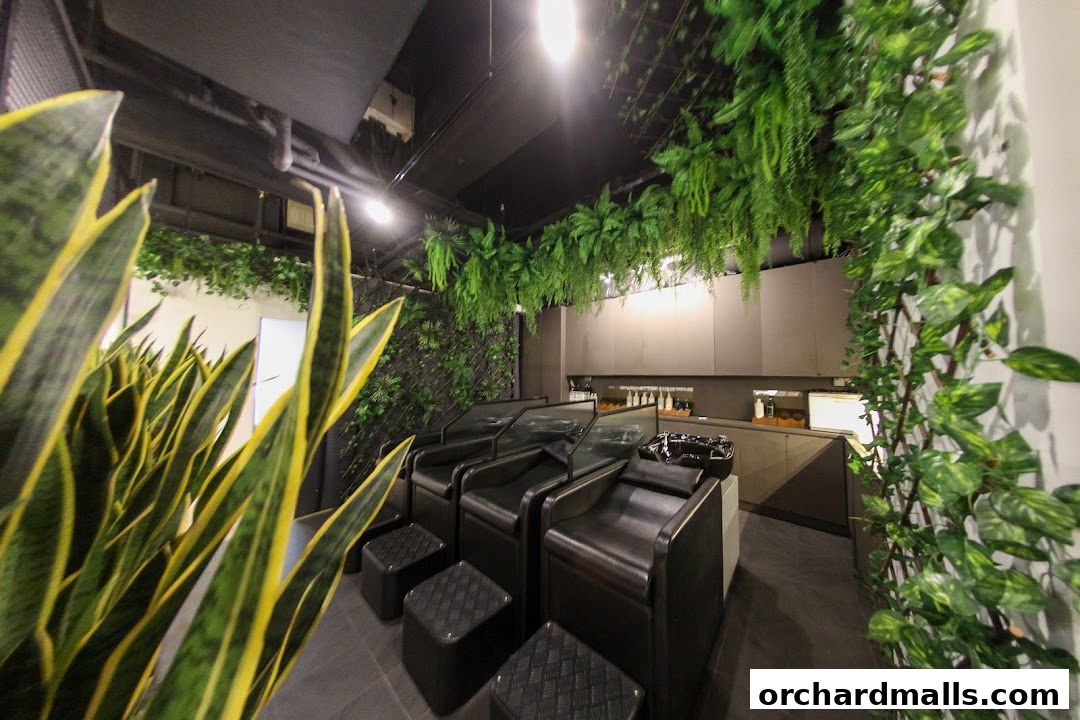 Scene Mandarin Gallery