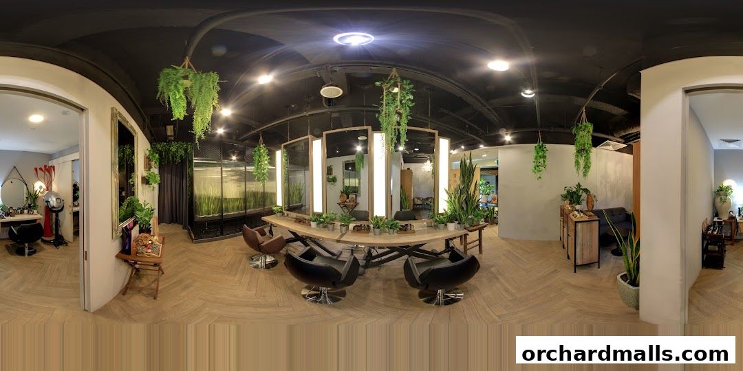 Scene Mandarin Gallery