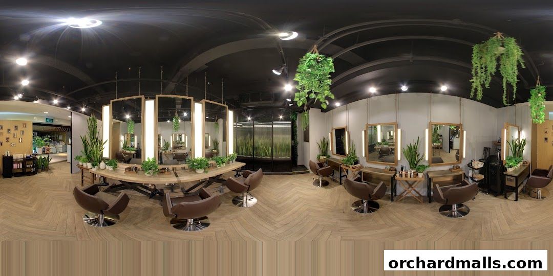 Scene Mandarin Gallery