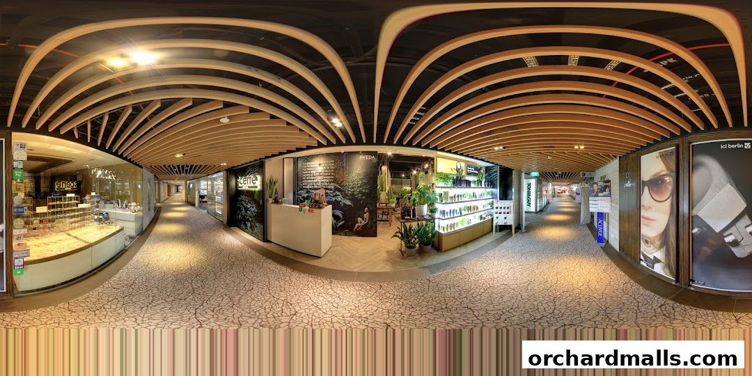 Scene Mandarin Gallery